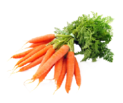 Морковь