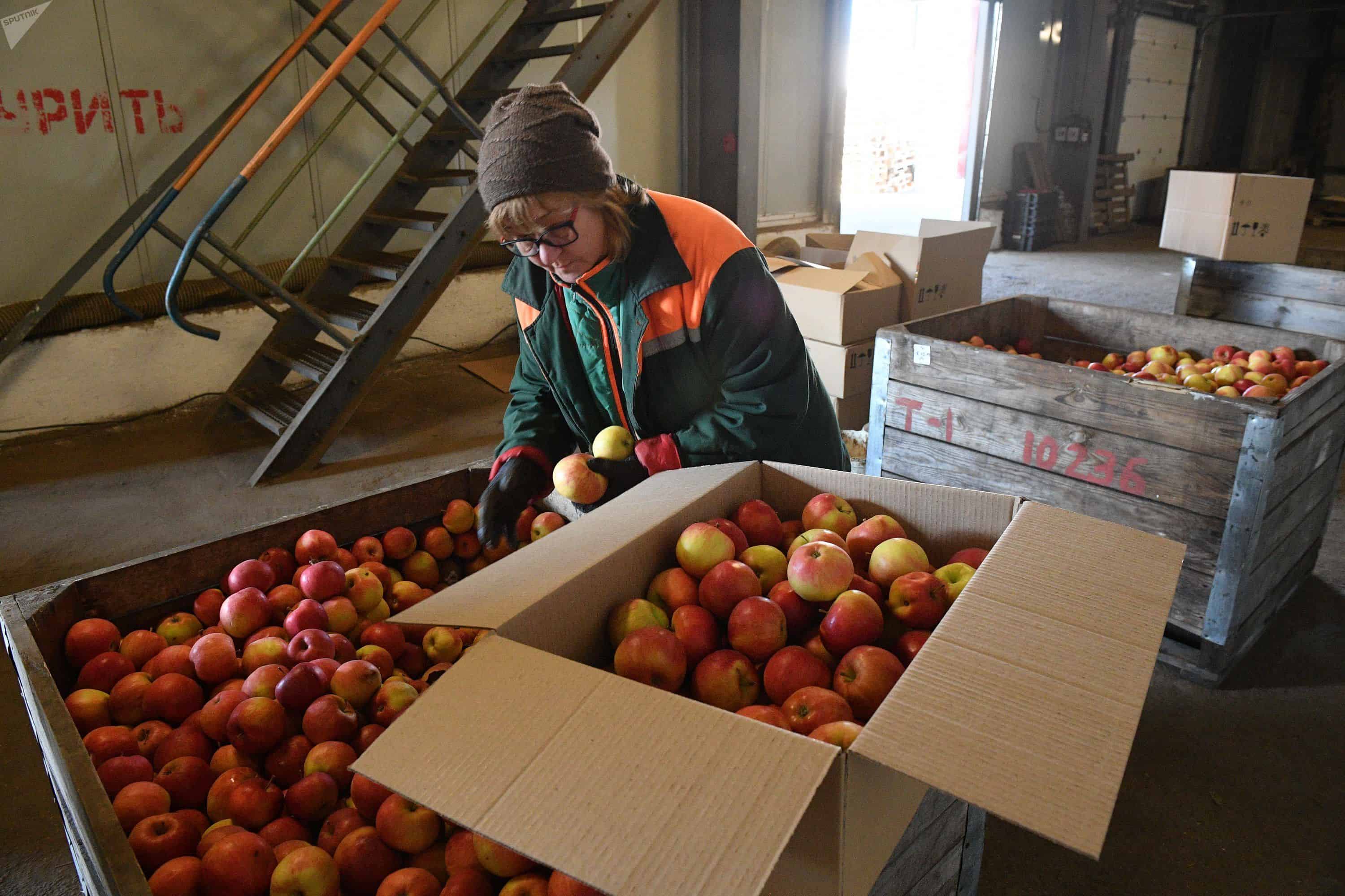 Изготовление продукции