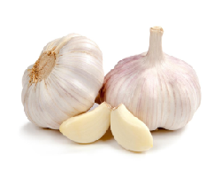 Чеснок