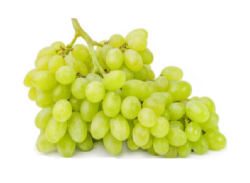 Виноград